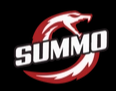 Summo Sports logo